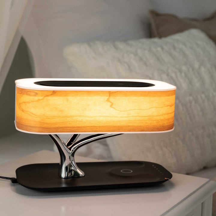 Nrdc Home Smart Nattlampe i gruppen Smarte Produkter Til Hjemmet hos Premiumtek.no (SmartNightlamp)